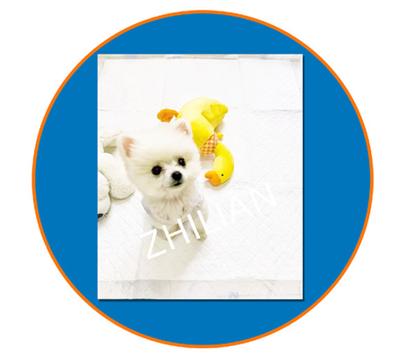 800 mm Breite Pet Training Pad Pet Pad Maschine 200 m/min 350 m/min