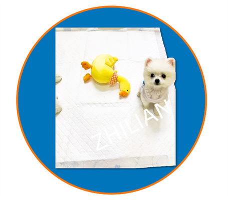 450 mm Breite Training Pad Pet Pad Maschine 200 m/min